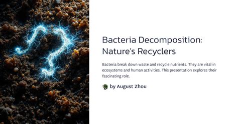 Bacteria Decomposition: Nature's Recyclers