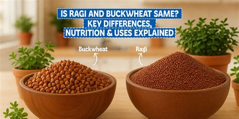 Ragi and Buckwheat: Key Differences Explained