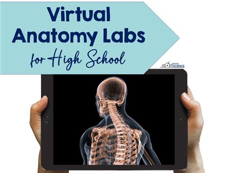 Virtual Lab School