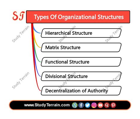 L Types Organization Structure 的图像结果