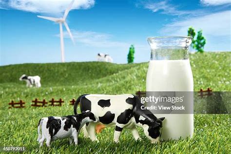 Advanced Model Cow Cattel Form 的图像结果