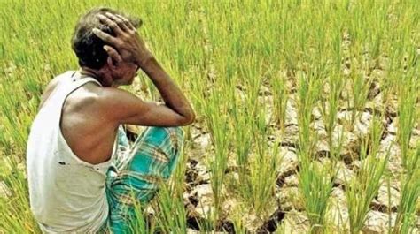 விளைபொருட்களை விற்க முடியவில்லை: கடன் தள்ளுபடி கோரும் விவசாயிகள் ...