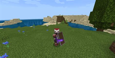 Image result for Combat Minecrafft Java