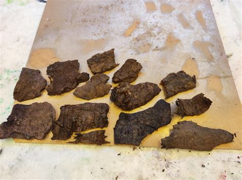 Image result for Tree Bark Tutorial