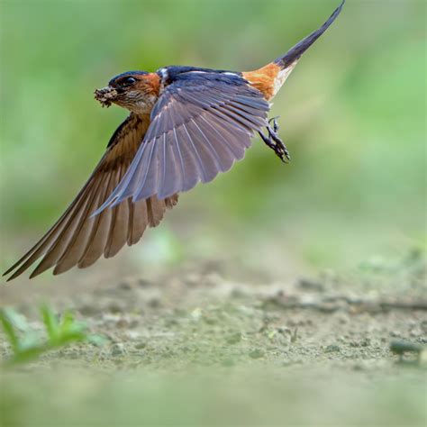 India's leading Professional Photography Online Community