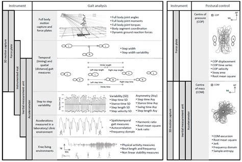 The Role of Movement Analysis in Diagnosing and Monitoring ...