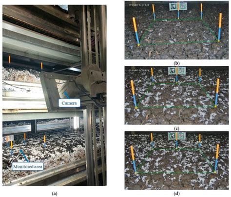Approach of AI-Based Automatic Climate Control in White Button Mushroom ...