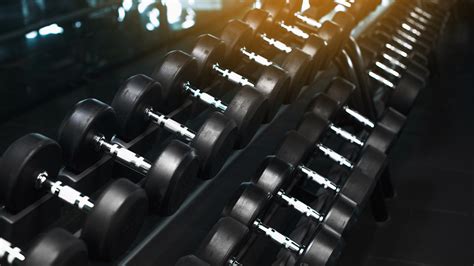 Image result for Muscle Build Types