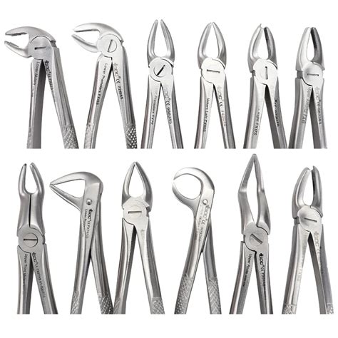 GDC Extraction Forceps Kit (Set Of 12) EFSP12 - Selmark Private Limited