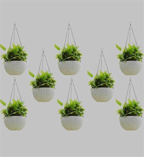 Hanging Flower Pots Online in India | Flipkart | 02-Jun-25