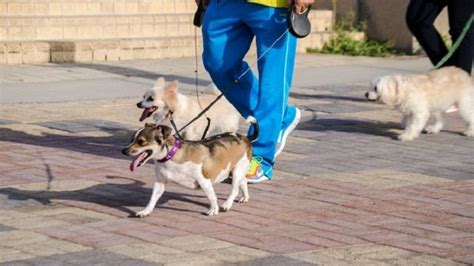 Al Bidda Park To Escape Into A World Of Peace And Tranquility