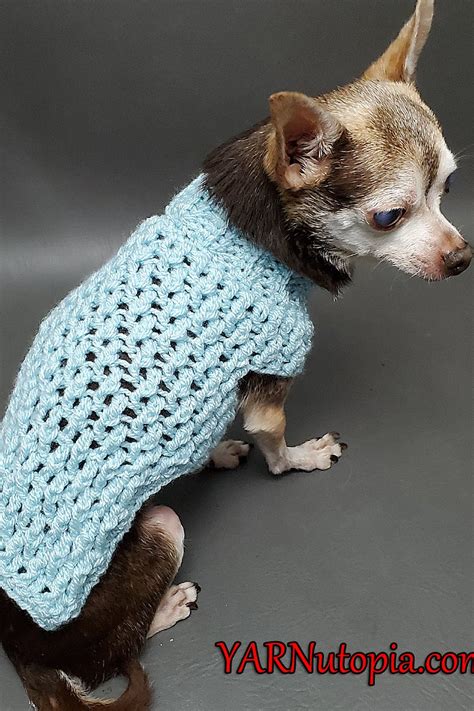 Image result for Dog Sweater Crochet Tutorial