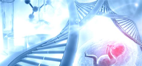 Image result for Fetus DNA Testing