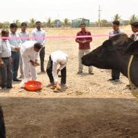 Inauguration of cattle and poultry farm on 04 May, 2017 | ICAR-National ...