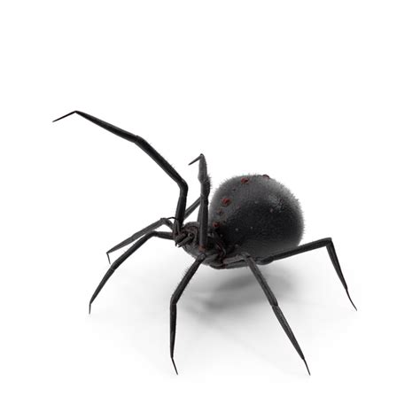 Image result for Alien Spider Attack