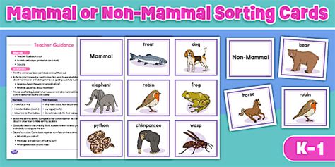 Mammal or Non-Mammal Sorting Cards for K-1st Grade