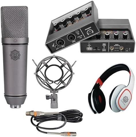 DIGIMORE Professional Condenser Microphone Kit with Audio Interface for ...