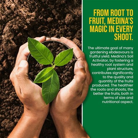Medina Liquid Soil Activator - Liquid Fertilizer for India | Ubuy