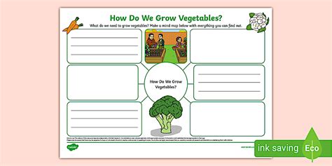 How Do We Grow Vegetables? Mind Map (teacher made) - Twinkl