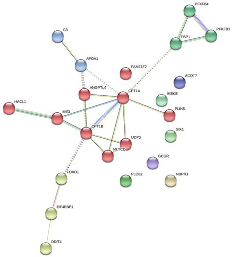 Effect of Cow-Calf Supplementation on Gene Expression, Processes, and ...