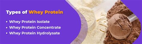 Whey Protein vs. Whey Isolate: Insights from Anytime Fitness
