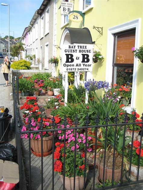 THE BAY TREE GUEST HOUSE (Truro, Cornwall) - Guesthouse Reviews ...