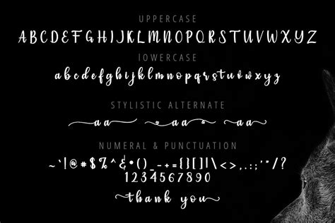 Image result for Simple Script Font