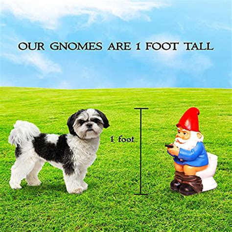 Buy Garden Gnomes Galore Naughty Gnomes - 1 Foot Tall Funny Garden ...