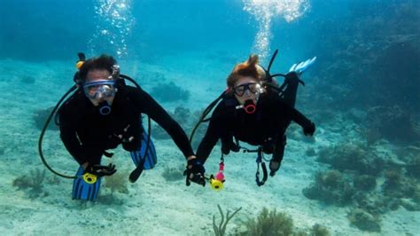 Scuba Diving in Goa: Everything You Need to Know!