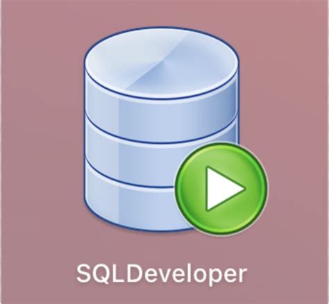 Image result for SQL Developer Application