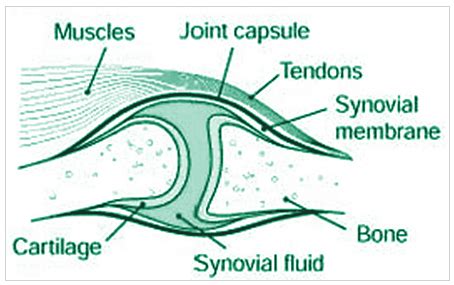 Treatment of lupus & Back pain in pune :: Dr.Pravin Patil