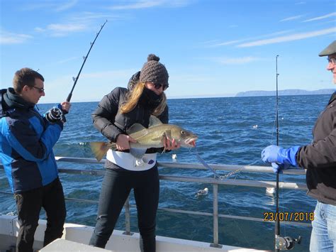 AMAZING WESTFJORDS (2025) All You Need to Know BEFORE You Go (with ...