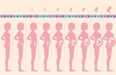怀孕后，孕妇什么时候开始补维生素？孕妇需要补充哪些维生素呢？
