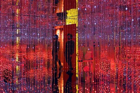 White Rabbit Museum Barcelona Admission Ticket 2024 - Viator