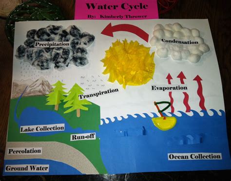 Water Cycle Project Ideas