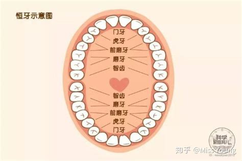 倒着长的智齿是什么样的? - 知乎