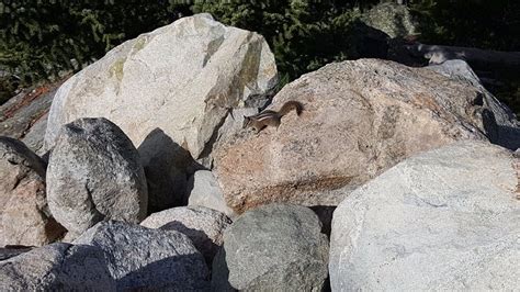 ELKHART PARK TRAILHEAD (2026) All You Need to Know BEFORE You Go (with ...