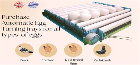 Hatching Egg Incubator Machine & Incubator Controller | Hatchpro