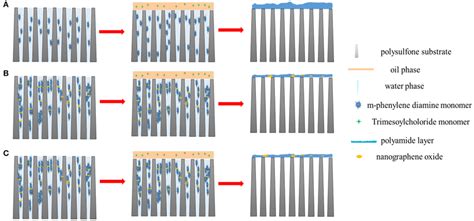 Image result for Interfacial Polymerization Applications