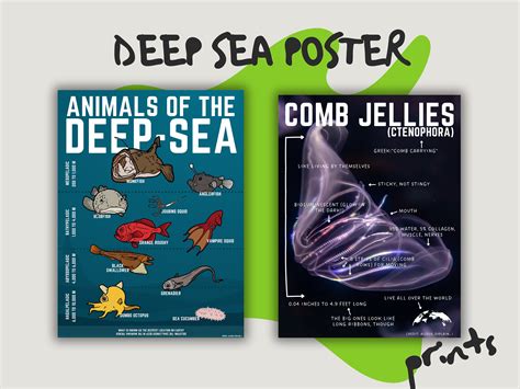 Image result for Deep Sea Python Poster