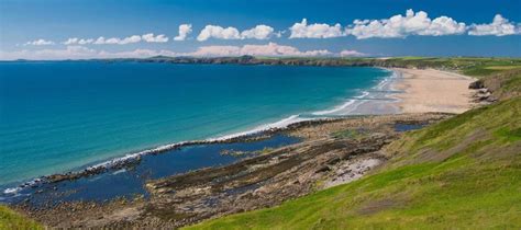 Sick Sharks, The Landsker Line, Haverfordwest, 28 June 2025 | AllEvents