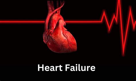 Empagliflozin reduces heart failure events across spectrum of CKD ...