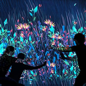 Image result for Latest Interactive Projection