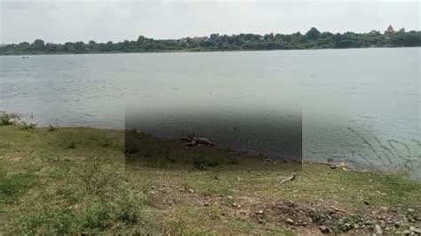 धार में सिर कटी लाश से दहशत, प्राइवेट पार्ट भी काटा गया, तन पर नहीं था ...