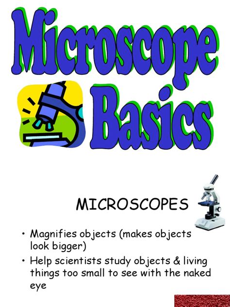 Optical Microscope Basics 的图像结果