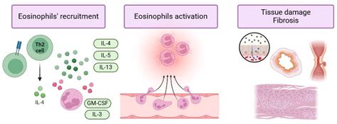 Eosinophilic Gastrointestinal Diseases