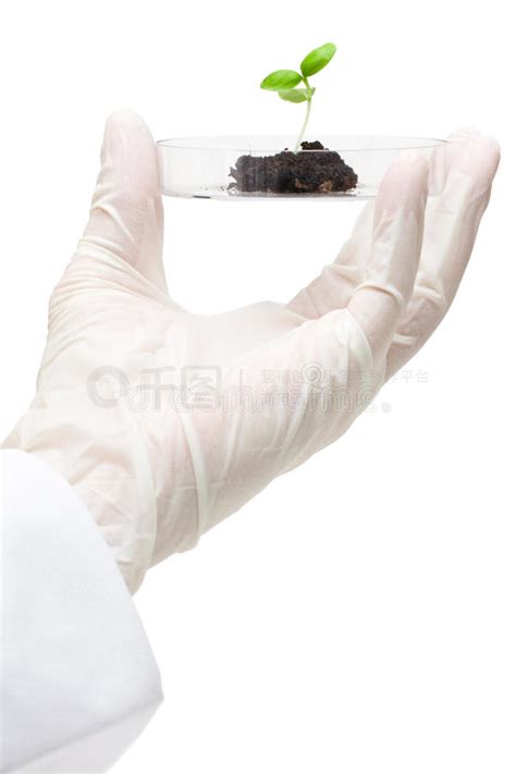 生物技术图片 的图像结果