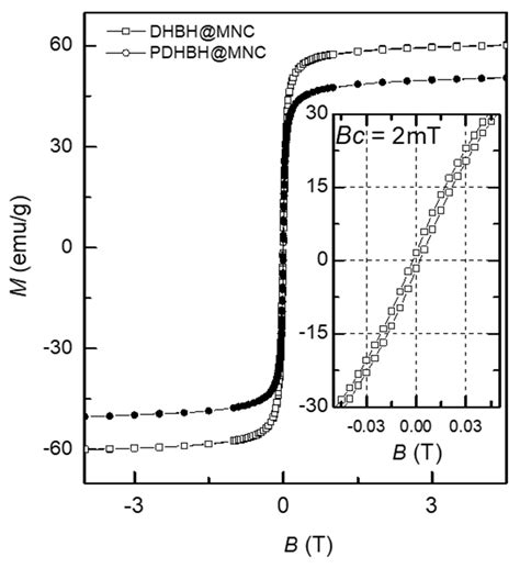 Magnetic Nanoclusters Stabilized with Poly[3,4-Dihydroxybenzhydrazide ...