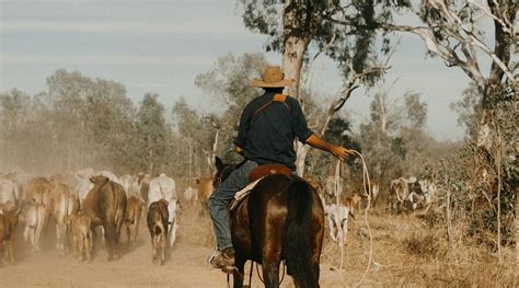 BULLO RIVER STATION (Baines) - Ranch Reviews & Photos - Tripadvisor