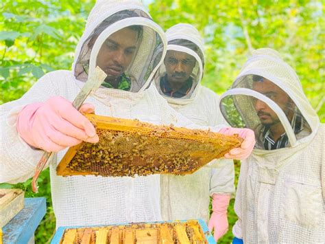 Image result for Basic Beekeeping Course
